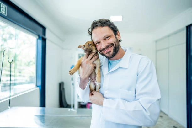 Clinica veterinária animais