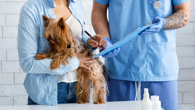 Clinica veterinaria perto de mim