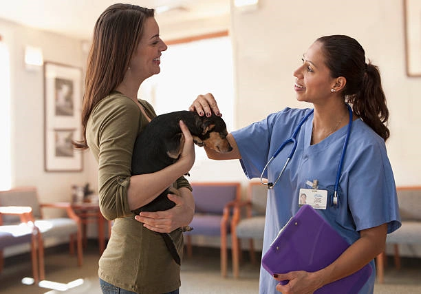Consultorio veterinário em Ribeirão Preto