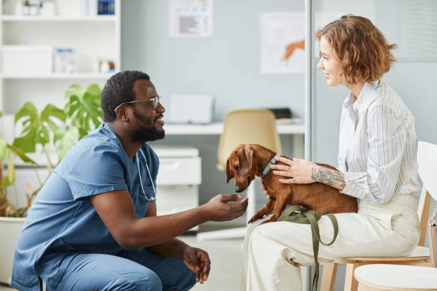 Hospital neurologico veterinario em Ribeirão Preto