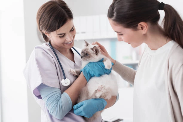 Medica veterinaria em Ribeirão