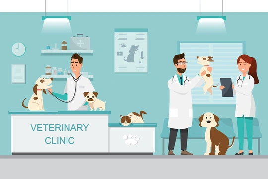 Neurologia animal​ em Ribeirão