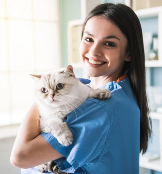 Imagem ilustrativa de Psiquiatra veterinário