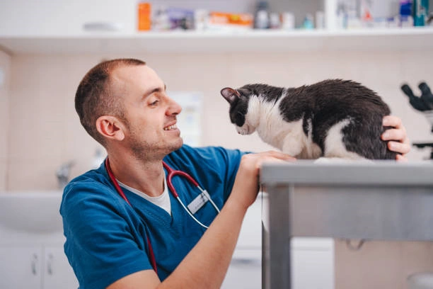 Tratamento neurológico veterinário